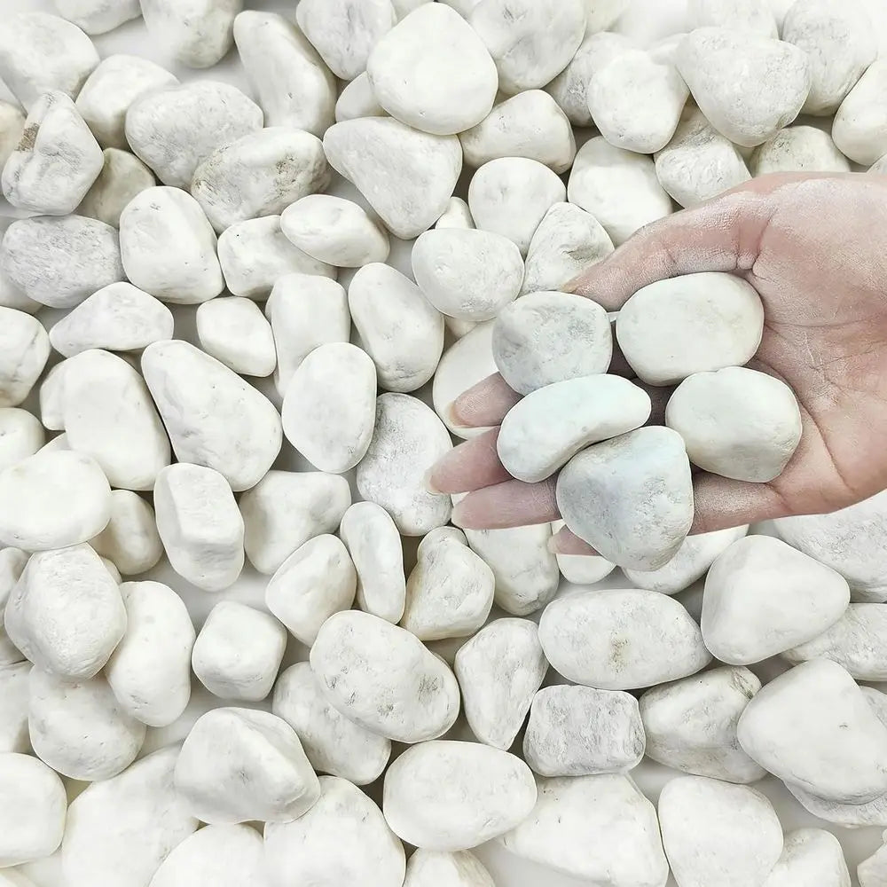 40 lbs White Rocks or Lanng, 1-2 Inch White Gravel. Decorative Pebbles Stones or Plants, Vases, Crat and Garden