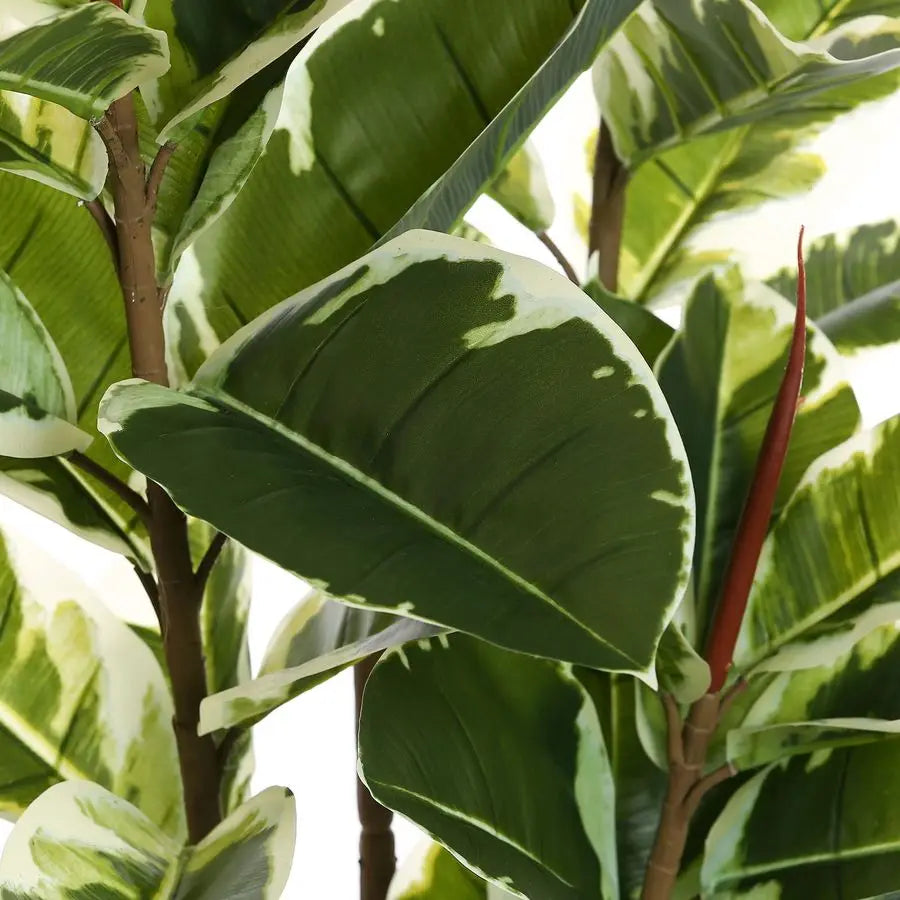 Rubber Tree Plant 6ft Tall Faux Ficus Tree Potted Fake Tropical Plants Decorative House Plants Large Floor Artificial Trees for