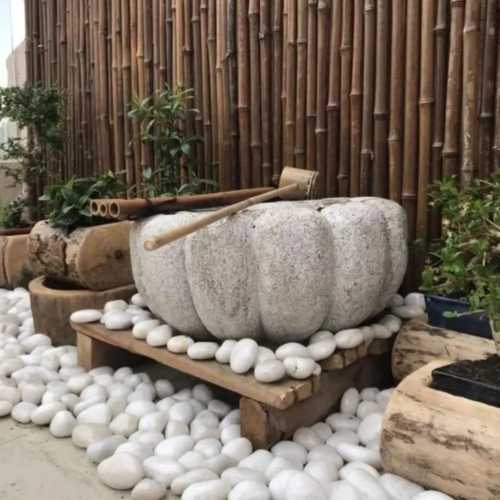 40lbs White River Rocks or Lanng, 2-3 Inch Natural Pebbles or Indoor Plants, High Polished Decorative Stones Garden Outdoor and