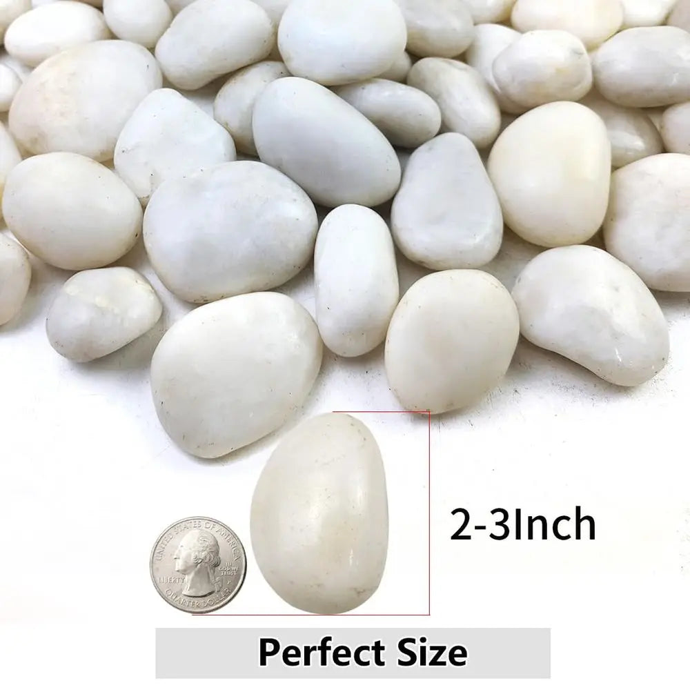 40lbs White River Rocks or Lanng, 2-3 Inch Natural Pebbles or Indoor Plants, High Polished Decorative Stones Garden Outdoor and