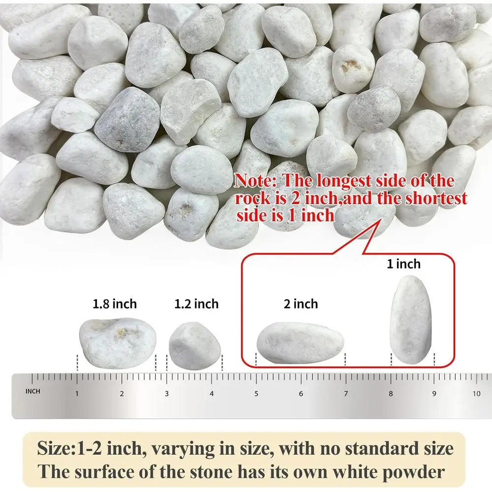 40 lbs White Rocks or Lanng, 1-2 Inch White Gravel. Decorative Pebbles Stones or Plants, Vases, Crat and Garden
